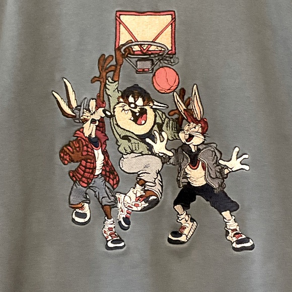 WARNER BROTHERS sz X Large Space Jam Hooded Sweatshirt Vintage 1995 Blue - Picture 5 of 7